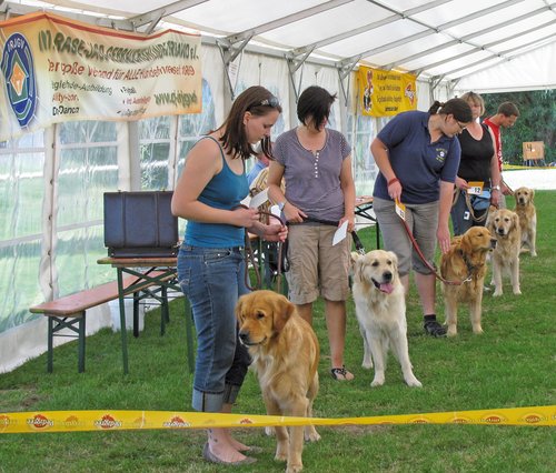 Dort wo viele Hunde aufeinander treffen, z.B. auf Hundeauslaufflächen, oder auf Hundeplätzen sowie bei Veranstaltungen, steigt logischerweise das Infektionsrisiko. Daher können auf Veranstaltungen des IDG & IRJGV nur Hunde vorgestellt werden, die einen gültigen Impfschutz haben, d.h.: Gültige, belastungsfähige Impfung gegen SHP+T (mögliche Gültigkeitsdauer bis drei Jahre) sowie L+Parainfluenza (jährlich). Foto©IDG & IRJGV/Sagmeister Dort wo viele Hunde aufeinander treffen, z.B. auf Hundeauslaufflächen, oder auf Hundeplätzen sowie bei Veranstaltungen, steigt logischerweise das Infektionsrisiko. Daher können auf Veranstaltungen des IDG & IRJGV nur Hunde vorgestellt werden, die einen gültigen Impfschutz haben, d.h.: Gültige, belastungsfähige Impfung gegen SHP+T (mögliche Gültigkeitsdauer bis drei Jahre) sowie L+Parainfluenza (jährlich). Foto©IDG & IRJGV/Sagmeister