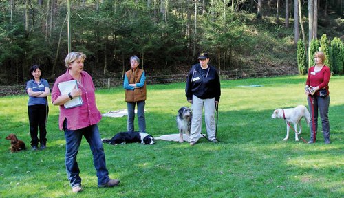 Aufmerksam lauschten die Teilnehmer den Worten von Frau Padberg. Foto:©Sandra Dietrich-Saal Aufmerksam lauschten die Teilnehmer den Worten von Frau Padberg. Foto:©Sandra Dietrich-Saal