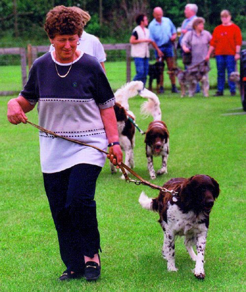 Jeder Hund, ob groß oder klein, braucht Erziehung. Dazu bieten wir die Begleithunde-Ausbildung an. Beide, Hundeführer und Hund lernen schnell mit- und voneinander – und beiden macht es Freude! Foto:©LG Schwaben Jeder Hund, ob groß oder klein, braucht Erziehung. Dazu bieten wir die Begleithunde-Ausbildung an. Beide, Hundeführer und Hund lernen schnell mit- und voneinander – und beiden macht es Freude! Foto:©LG Schwaben